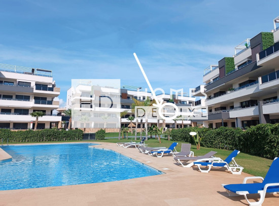 Apartamentos - Reventa - Playa Flamenca - Playa Flamenca