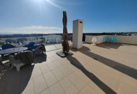 Bestaande woningen - Penthouses - Las Ramblas