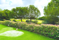 Bestaande woningen - Villas - Las Colinas Golf - Las Colinas