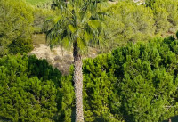 Bestaande woningen - Villas - Las Colinas Golf - Las Colinas