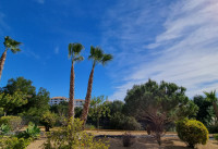 Gebrauchte Objekte - Penthouses - Campoamor - Campoamor Golf
