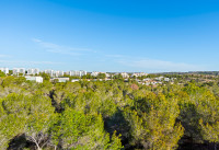 Gebrauchte Objekte - Villas - Las Colinas Golf - Las Colinas