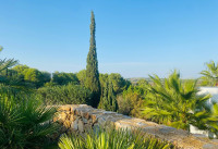 Gebrauchte Objekte - Villas - Las Colinas Golf - Las Colinas