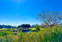 Gebrauchte Objekte - Villas - Las Colinas Golf - Las Colinas