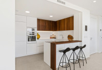 Neubau Immobilien - Villas - Altea