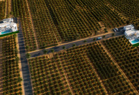 Neubau Immobilien - Villas - Benejúzar