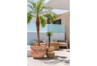 Neubau Immobilien - Villas - Dolores