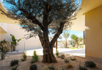Neubau Immobilien - Villas - La Marina