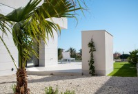 Neubau Immobilien - Villas - Los Montesinos - La Herrada