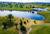 Neubau Immobilien - Villas - Los Montesinos - Vistabella Golf