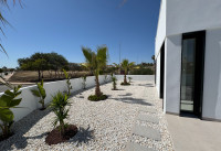Neubau Immobilien - Villas - San Fulgencio - La Marina