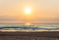 Neubau Immobilien - Wohnungen - Guardamar del Segura - Guardamar Playa