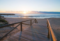 Neubau Immobilien - Wohnungen - Guardamar del Segura - Guardamar Playa