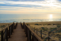 Neubau Immobilien - Wohnungen - Guardamar del Segura - Guardamar Playa