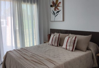 Neubau Immobilien - Wohnungen - Pilar de la Horadada