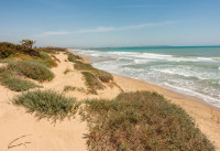 New Build - Apartments - Guardamar del Segura - Guardamar Playa