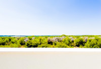 New Build - Apartments - Las Colinas Golf - Las Colinas