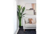 New Build - Penthouses - San Miguel de Salinas