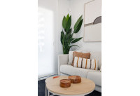 New Build - Penthouses - San Miguel de Salinas