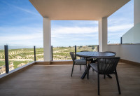 New Build - Villas - Algorfa - La Finca Golf