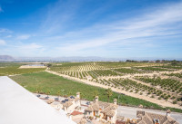 New Build - Villas - Algorfa - La Finca Golf