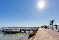 New Build - Villas - Pilar de la Horadada