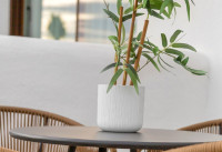 Nieuw Gebouw - Appartementen - Los Alcazares - La Serena Golf