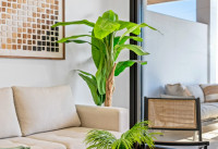 Nieuw Gebouw - Appartementen - Los Alcazares - La Serena Golf