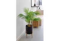 Nieuw Gebouw - Appartementen - Villajoyosa