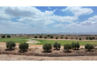 Nieuw Gebouw - Villas - Hacienda del Alamo