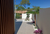 Nieuw Gebouw - Villas - Pilar de la Horadada