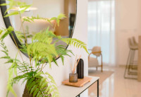 Nouveau bâtiment - Appartements - Ciudad Quesada