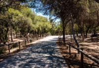 Nouveau bâtiment - Appartements - Guardamar del Segura - Guardamar Playa