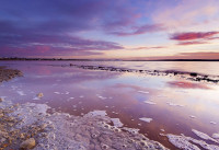 Nouveau bâtiment - Appartements - Los Balcones
