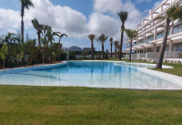 Nouveau bâtiment - Appartements - Mar de Cristal