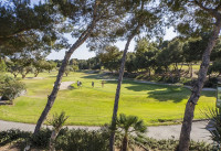 Nouveau bâtiment - Appartements - Punta Prima