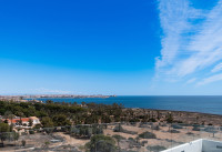 Nouveau bâtiment - Appartements - Punta Prima