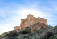Nouveau bâtiment - Maisons de ville - Cox