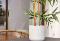 Nouveau bâtiment - Penthouses - Los Alcazares - La Serena Golf