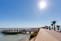 Nouveau bâtiment - Penthouses - Los Alcazares