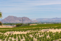 Nouveau bâtiment - Villas - Algorfa - La Finca Golf