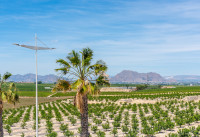 Nouveau bâtiment - Villas - Algorfa - La Finca Golf