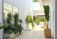 Nouveau bâtiment - Villas - Ciudad Quesada