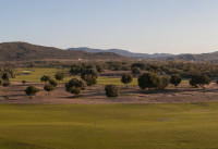 Nouveau bâtiment - Villas - Corvera - Altaona Golf