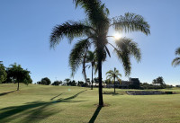 Nouveau bâtiment - Villas - Los Alcazares - Roda Golf