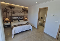 Nouveau bâtiment - Villas - Pilar de la Horadada