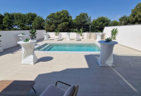 Nouveau bâtiment - Villas - Pilar de la Horadada