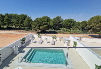 Nouveau bâtiment - Villas - Pilar de la Horadada