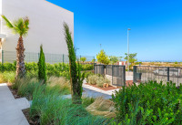 Nouveau bâtiment - Villas - Pilar de la Horadada