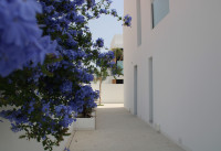 Nouveau bâtiment - Villas - Torre de la Horadada